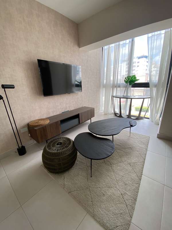 Naco Apartamento Amueblado en Venta