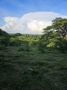 MARAVILLOSA FINCA-RINCON YACO-HIGUERO