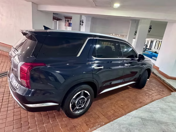 Hyundai Palisade  2024