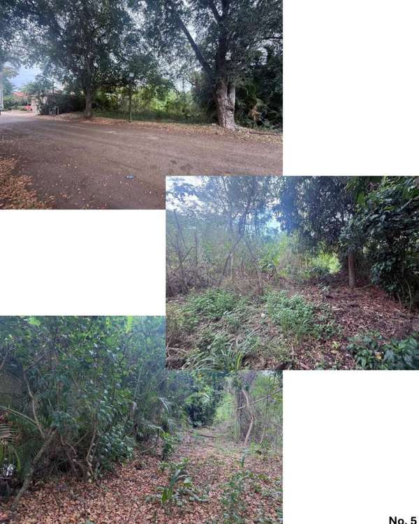 Land for Sale - Guayacanes, San Pedro de Macorís