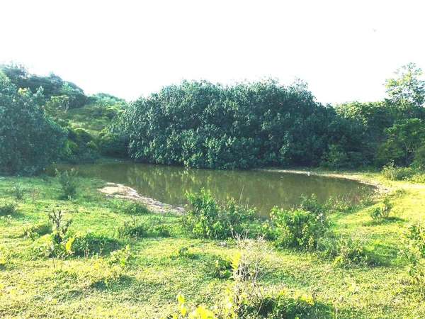 Terreno en Venta Las Terrenas