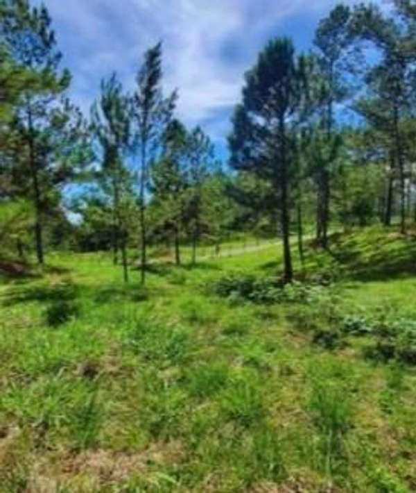 Venta Lotes desde en Jarabacoa La Vega