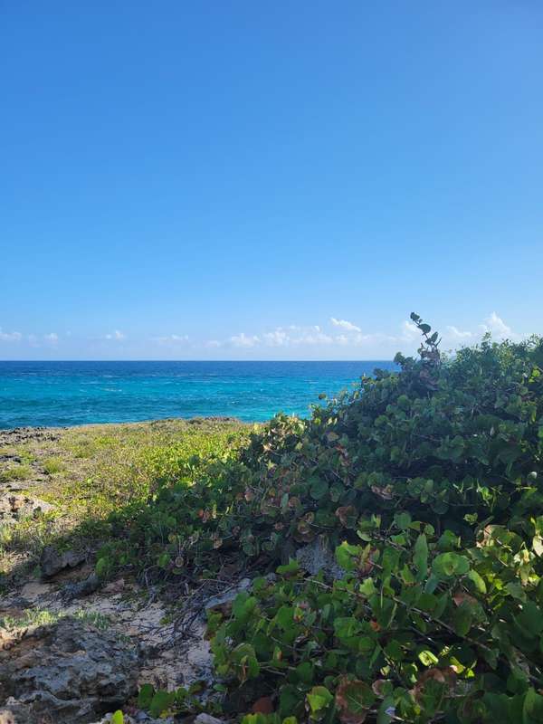  VENDO TERRENO FRENTE AL MAR EN REPÚBLICA DOMINICANA    Ubicación: Boca de Yuma, Higüey, Provincia La Altagracia, 