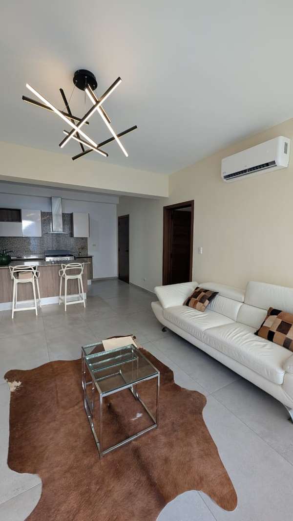 Amplio apartamento de 1 habitación con terraza en La Esperilla. 