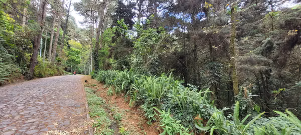 Terreno en condominio residencial CAES