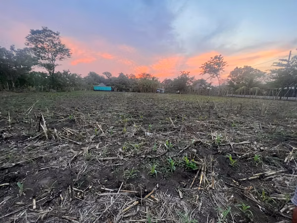 Terreno Agrícola en Venta Puerto San José Parcelamiento