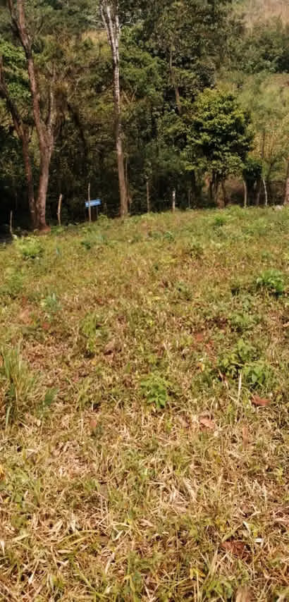 Terreno en Venta Los Amates Izabal, Guatemala