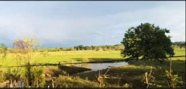 TERRENO EN VENTA EN PETEN