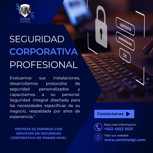 Seguridad  Corporativa  Profesional