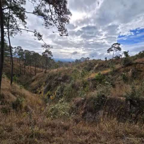 Terreno en Venta San Pedro Sacatepéquez, Guatemala