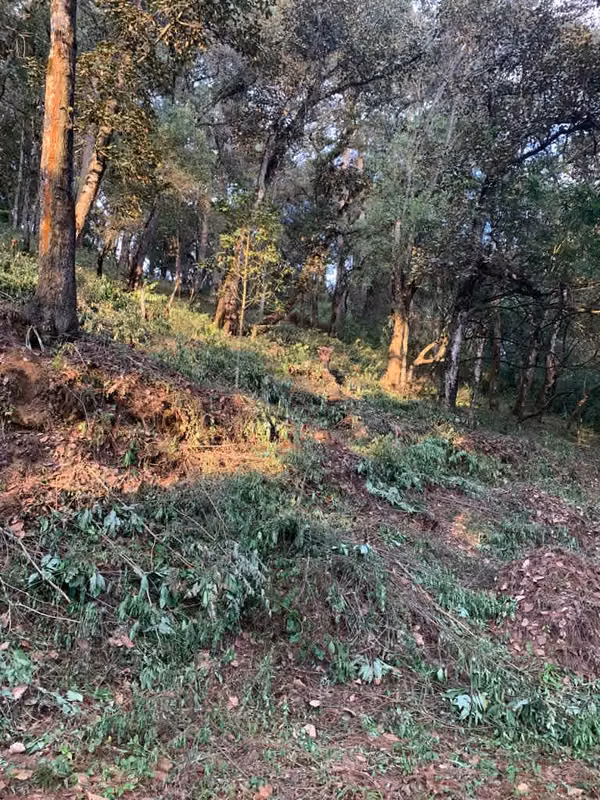 TERRENO RESIDENCIAL EN VENTA EN ZONA 7