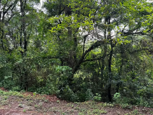 Terreno en Venta en zona 7 el Encinal