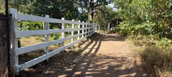 FARM FOR SALE IN SAN CRISTOBAL ACASAGUASTLÁN, EL PROGRESO GUASTATOYA
