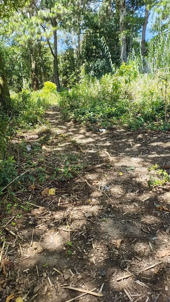 1 MZ de terreno sobre carretera a Salvador