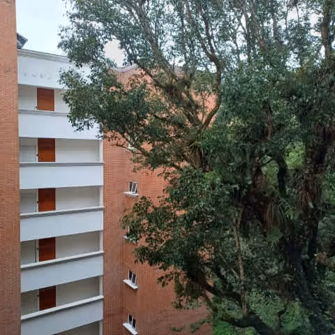 Apartamento Tipo Studio en Renta Zona 16 La Montaña