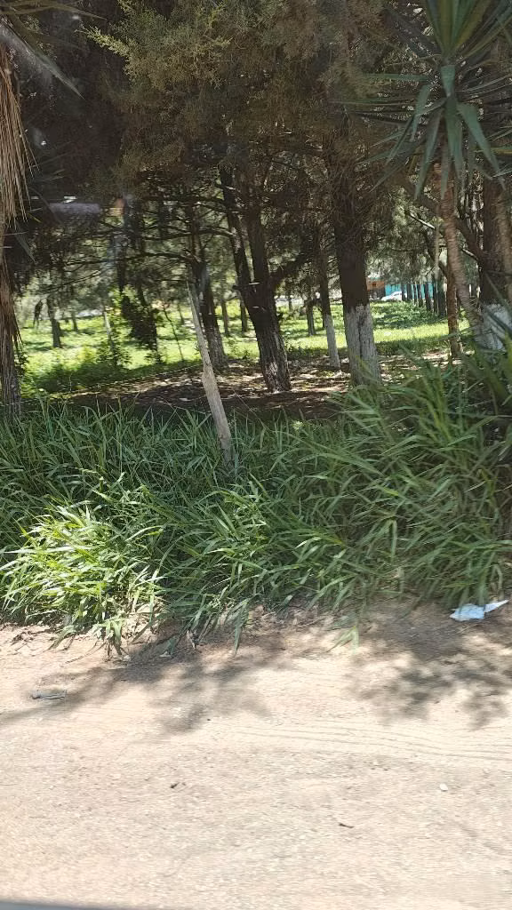 Terreno 3,040 Vrs Km 47 Autopista Quetzal complejo recreacional