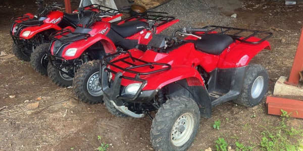 Cuatrimotos HONDA y Suzuki Ozark