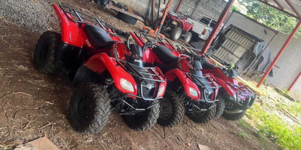 Cuatrimotos HONDA y Suzuki Ozark
