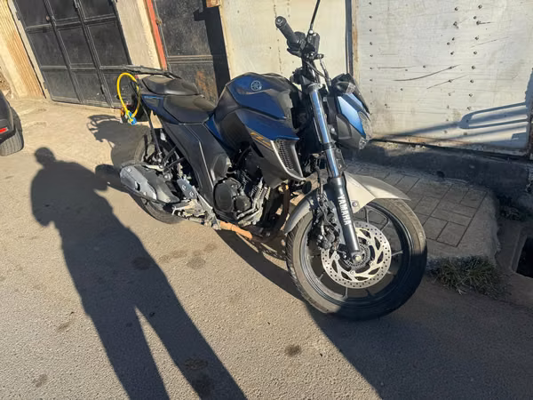 FZ 250