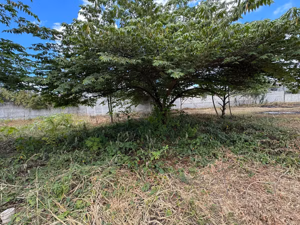 Se vende LOTE en proyecto urbanizado La Ceiba – Sanarate.