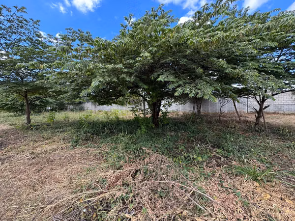 Se vende LOTE en proyecto urbanizado La Ceiba – Sanarate.