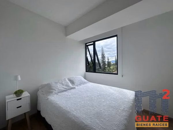 Apartamento en Renta, Zona 09 (R10184)