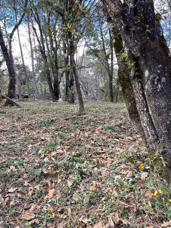 Vendo Terreno en el Encinal, zona 7 de Mixco | ACODI