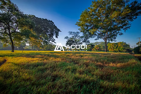 Vendo Terrenos en complejo industrial, km 67 Escuintla (Opción 1) | ACODI