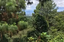 Vendo Terrenos en El Encinal, zona 7 de Mixco | ACODI