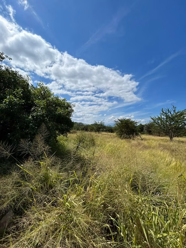 VENDO TERRENO A ORILLA DE CARRETERA KM,116 AL ATLANTICO