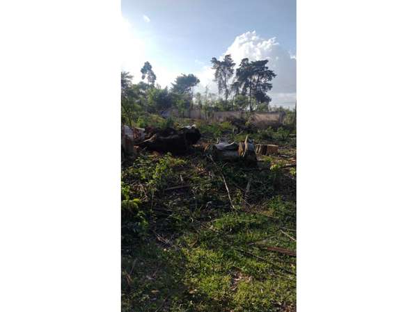 Terreno en Alquiler Zona 16