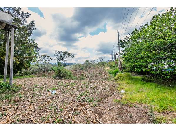 Terreno en Renta Km 17 Carretera a El Salvador