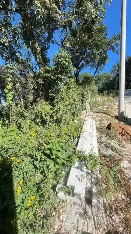 TERRENO EN VENTA EN SANTA ROSALIA SECTOR CASUARINAS KM 12.5 CAES
