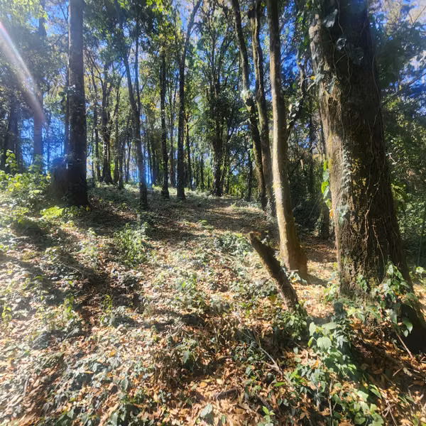 Terreno en venta en San Lucas Sacatepéquez
