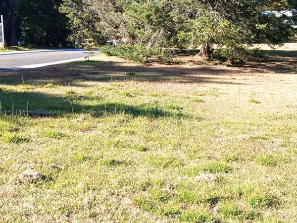 TERRENO EN VENTA EN HACIENDA NUEVA