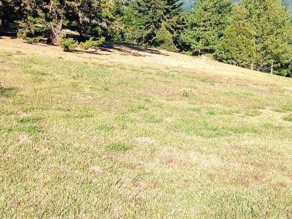 TERRENO EN VENTA EN HACIENDA NUEVA