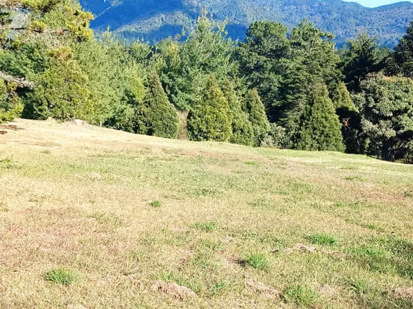 TERRENO EN VENTA EN HACIENDA NUEVA