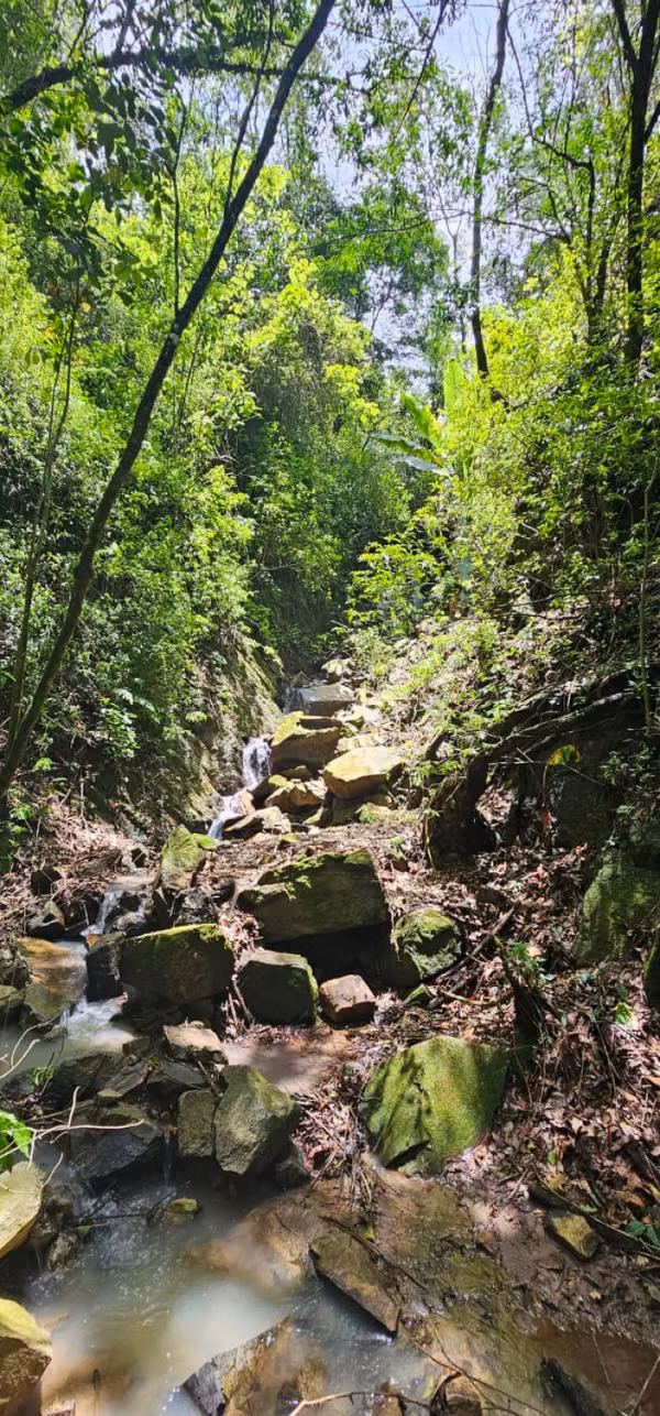 HACIENDA EN VENTA - FINCA EL MAGUEY
