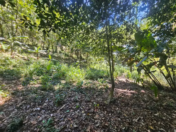 HACIENDA EN VENTA - FINCA EL MAGUEY
