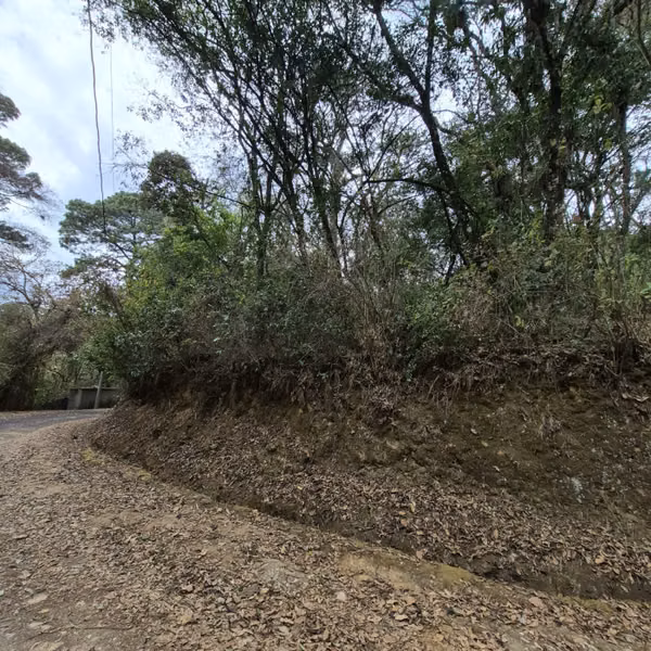 Terreno en Venta en El Encinal Zona 7 Mixco