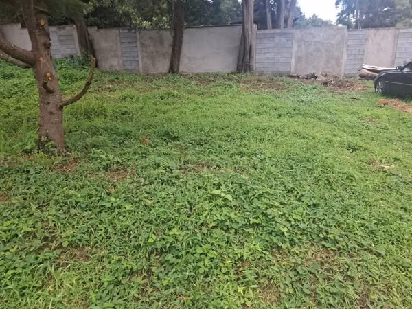 Vendo Lote Terreno 5 Minutos del Centro de San Lucas Sacatepéquez
