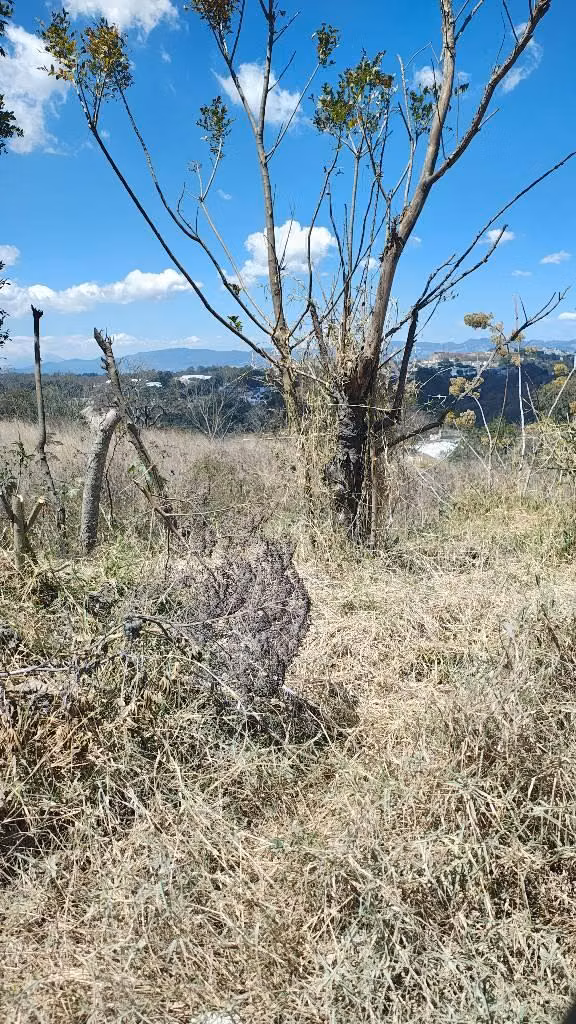 1 MZ de terreno, plano a 50 mts del asfalto.
