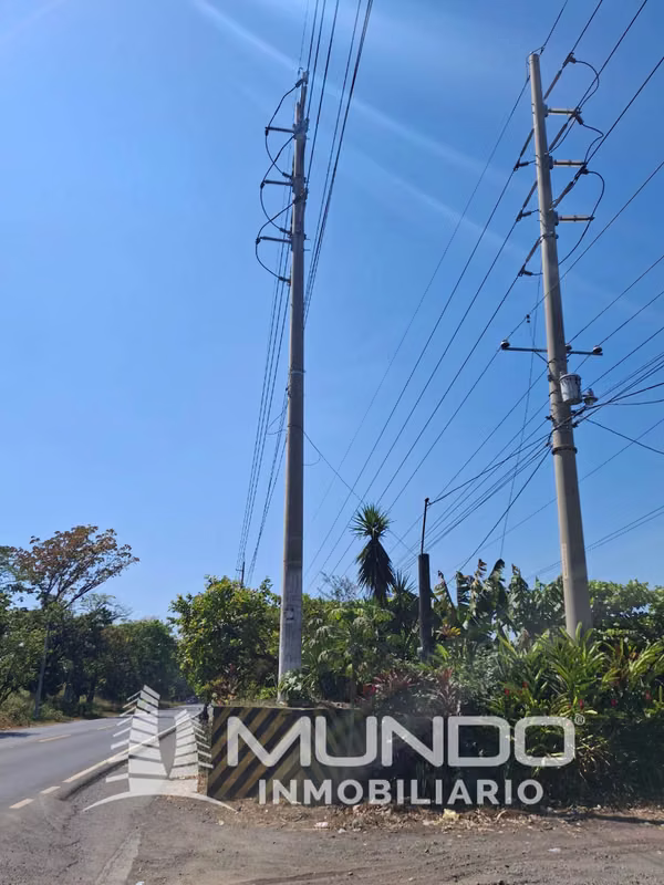 FARM FOR SALE KM. 68 OLD ROAD TO PORT SAN JOSE