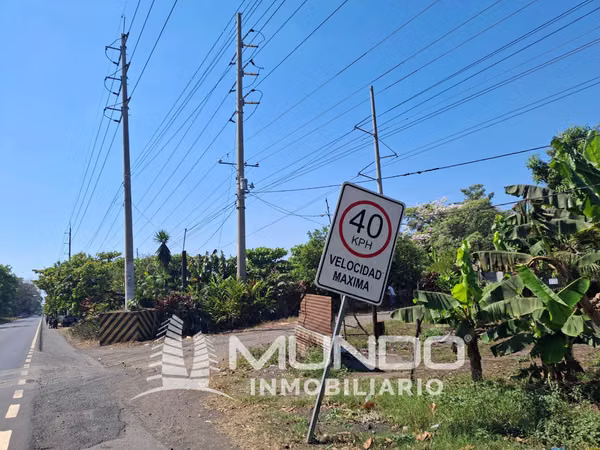 FARM FOR SALE KM. 68 OLD ROAD TO PORT SAN JOSE