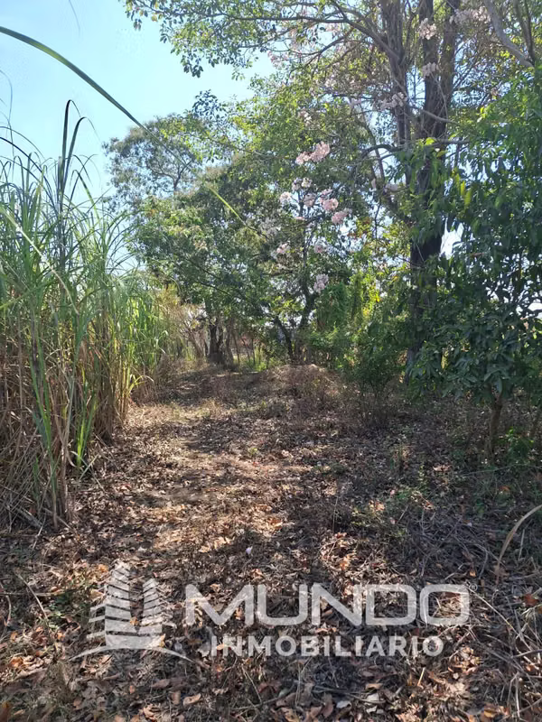 FARM FOR SALE KM. 68 OLD ROAD TO PORT SAN JOSE