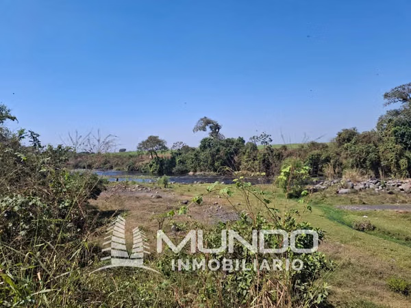 FARM FOR SALE KM. 68 OLD ROAD TO PORT SAN JOSE