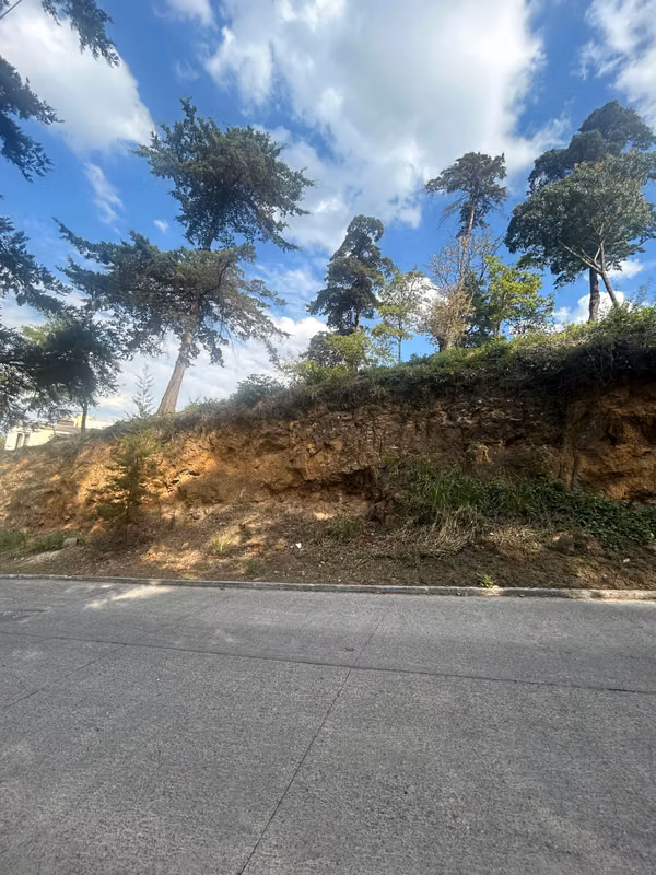 Batch Forest of the lookout 10 * 20mts. Z. 6 Mixco