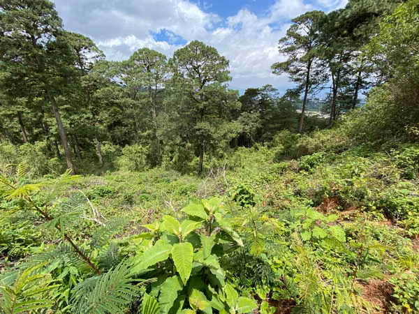 IDEAL GROUND VENDO DEVELOPMENT VIEW BEAUTIFUL 4, AREA 16