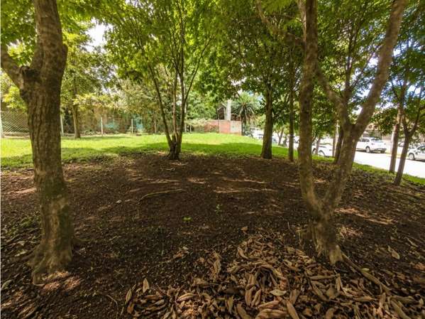 Terreno en Renta Zona 15