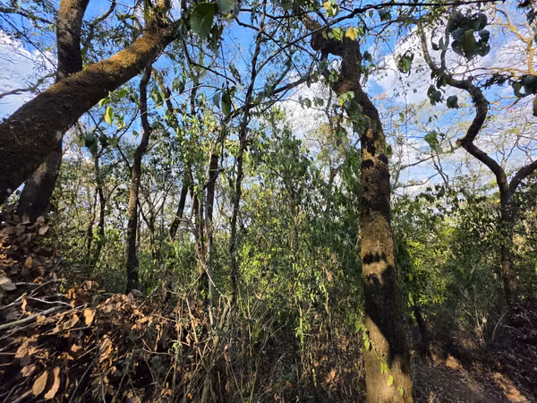 TERRENO RESIDENCIAL EN VENTA EN ZONA 7 MIXCO EL ENCINAL